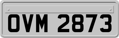 OVM2873
