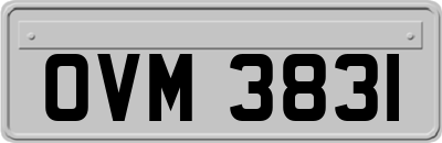 OVM3831