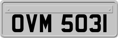 OVM5031