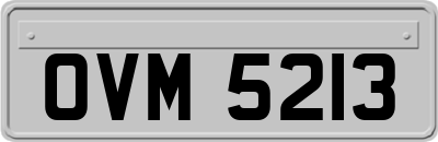 OVM5213