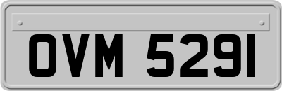 OVM5291