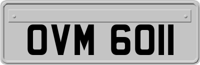 OVM6011