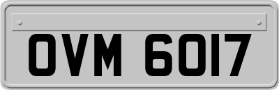 OVM6017