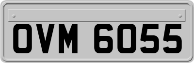OVM6055