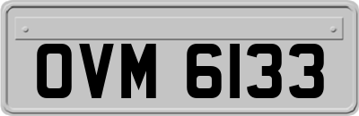OVM6133