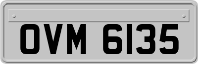 OVM6135