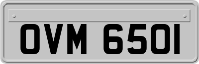 OVM6501