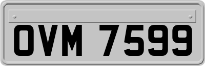OVM7599