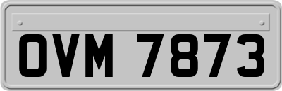 OVM7873