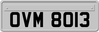 OVM8013