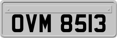 OVM8513