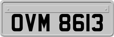 OVM8613