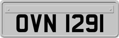 OVN1291