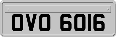 OVO6016