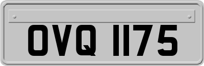 OVQ1175