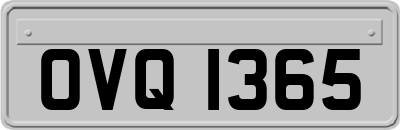 OVQ1365