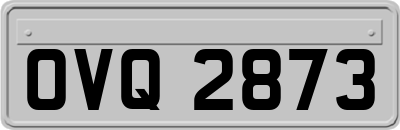 OVQ2873