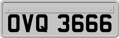 OVQ3666