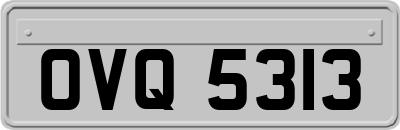 OVQ5313