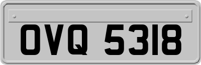 OVQ5318