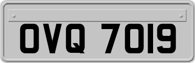 OVQ7019