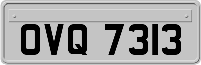 OVQ7313