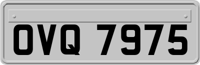 OVQ7975