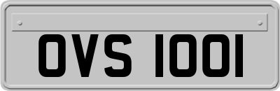 OVS1001