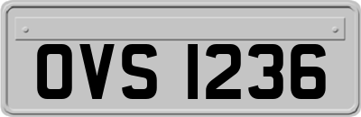 OVS1236