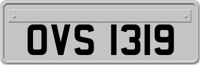 OVS1319