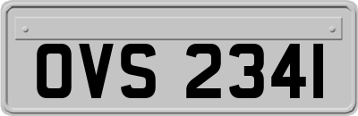 OVS2341