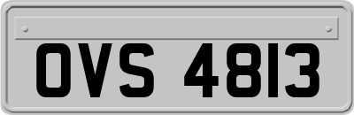 OVS4813