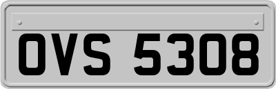 OVS5308