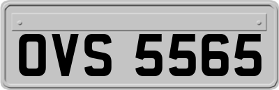 OVS5565