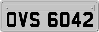 OVS6042