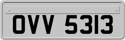 OVV5313
