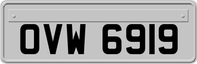 OVW6919