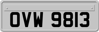 OVW9813