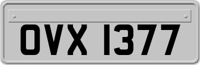 OVX1377