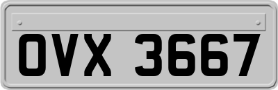 OVX3667