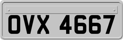 OVX4667