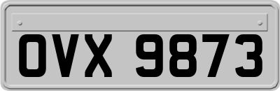 OVX9873