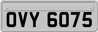 OVY6075