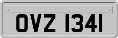 OVZ1341