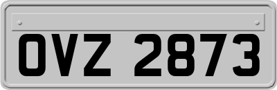 OVZ2873