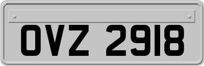 OVZ2918