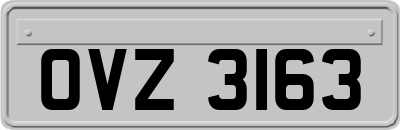 OVZ3163