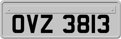 OVZ3813