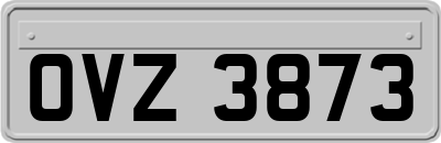 OVZ3873