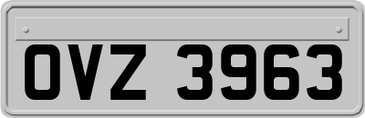 OVZ3963